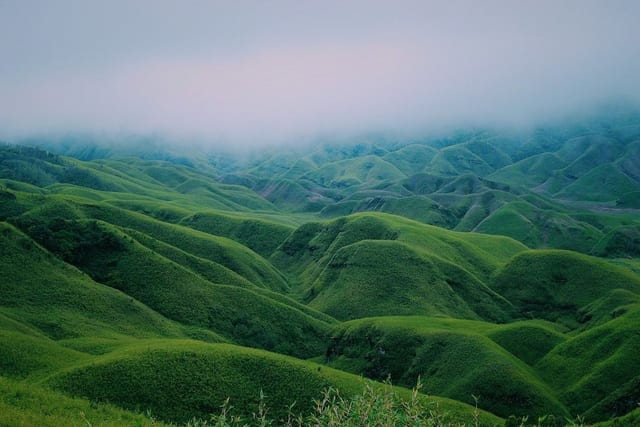 Nature — photo 3