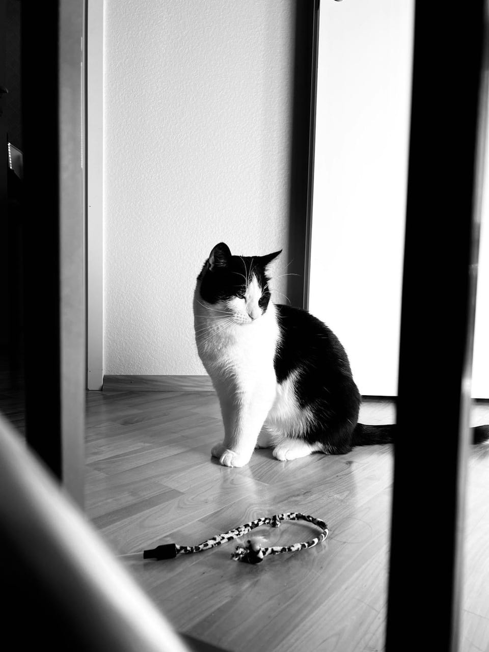 Exposition — photo 2