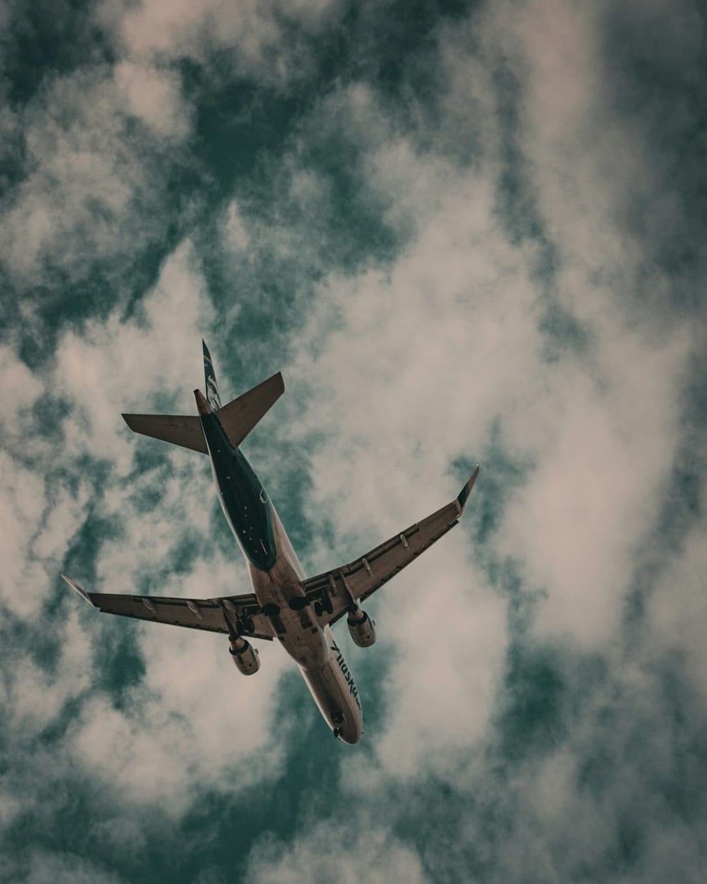 Voyage — photo 18